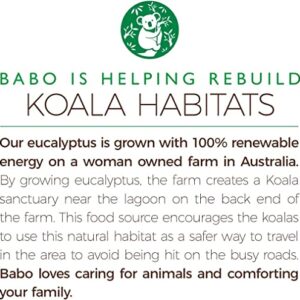 Babo Botanicals Eucalyptus Remedy Plant-Based 3-in-1 Shampoo, Bubble Bath & Wash - with Vapors of Eucalyptus, Rosemary & Peppermint - For Babies, Kids or Sensitive Skin - EWG Verified - 15 fl. oz. - Image 4